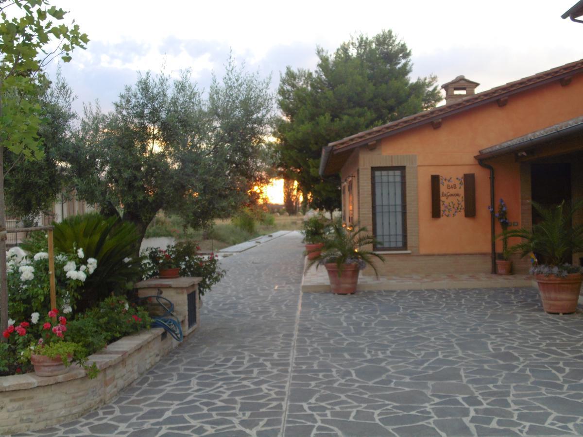 B&B La Gioiosa 아시시 외부 사진